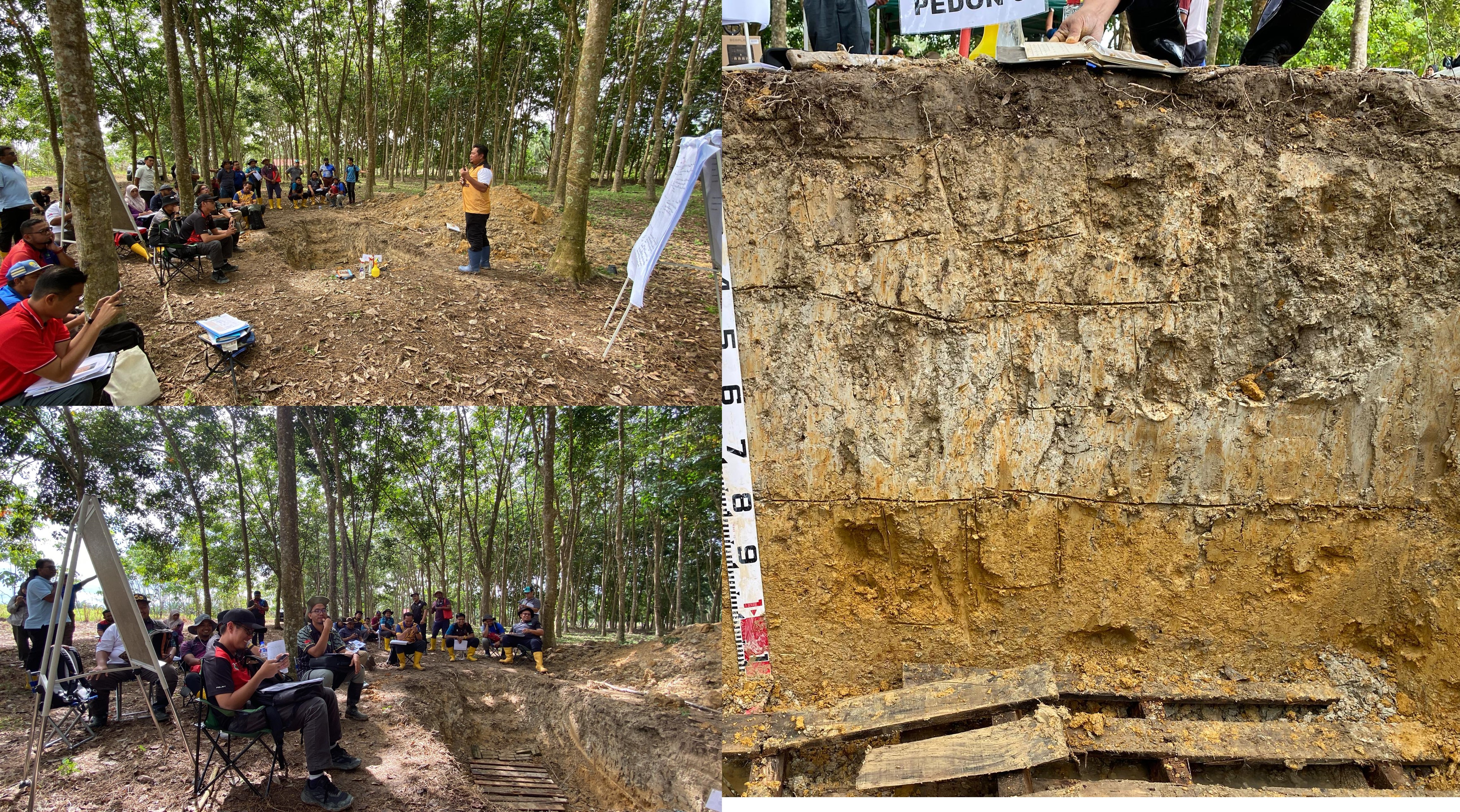 DOA-RISDA : KURSUS FAMILIARISASI TANAH SIRI 1, PERAK -CAMERON HIGHLANDS, 16-20 JUN 2025